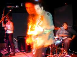 fireants14.jpg