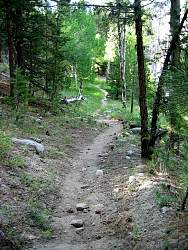 trail11.jpg