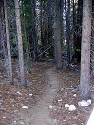 trail5.jpg