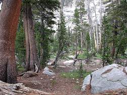 CampSite1.jpg