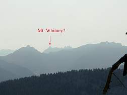 Whitney.jpg