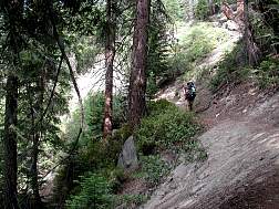 trail2.jpg