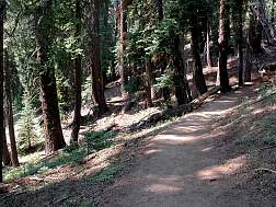 trail23.jpg