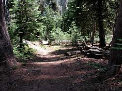 trail4.jpg